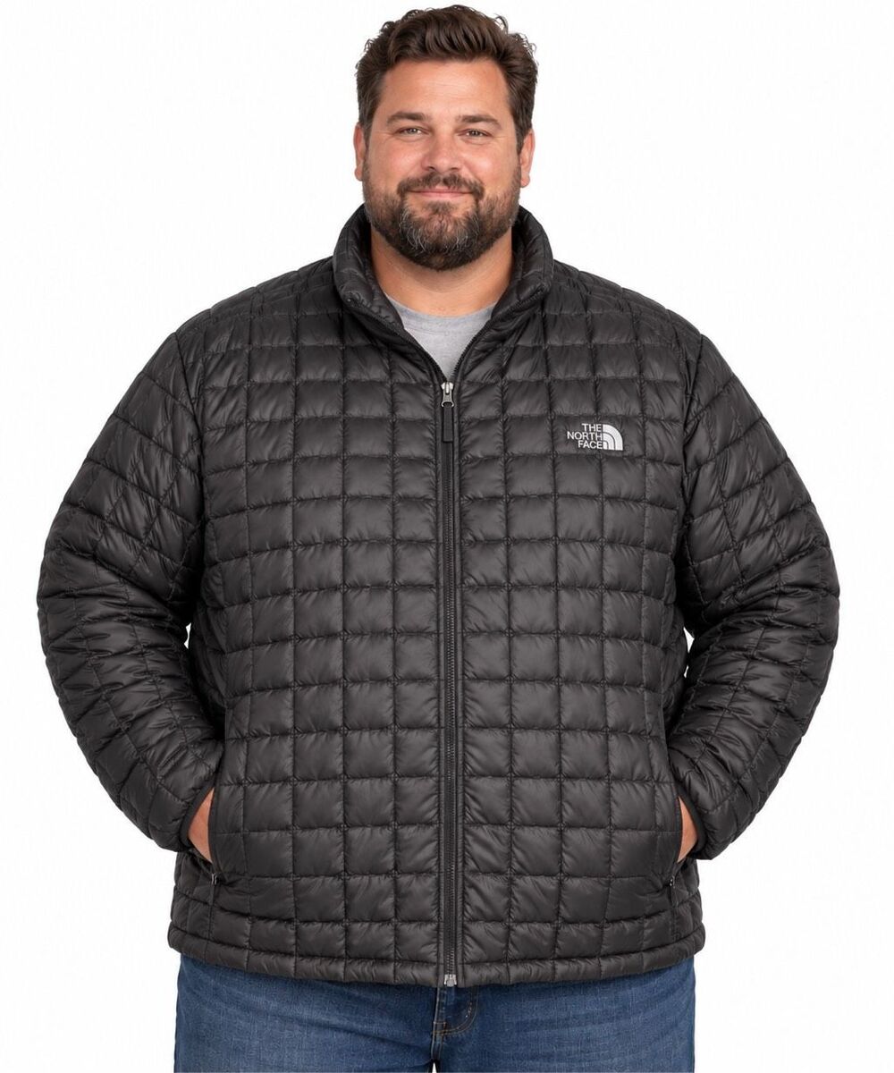 The North Face Men’s Black Quilted Puffer Jacket Size 4X Big & Tall